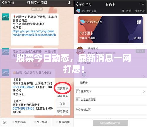 股票今日動(dòng)態(tài)，最新消息一網(wǎng)打盡！