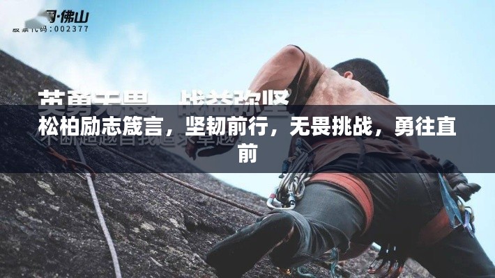 松柏勵(lì)志箴言，堅(jiān)韌前行，無畏挑戰(zhàn)，勇往直前