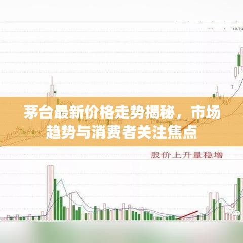 茅臺最新價格走勢揭秘，市場趨勢與消費(fèi)者關(guān)注焦點(diǎn)