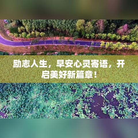 獨學寡聞