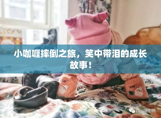 小咖喱摔倒之旅，笑中帶淚的成長故事！