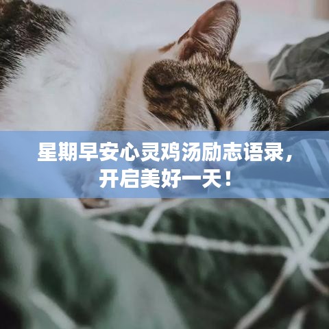 星期早安心靈雞湯勵志語錄，開啟美好一天！