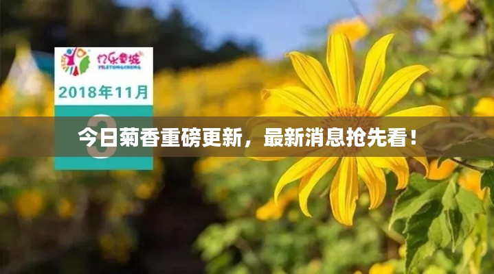 籠中之鳥
