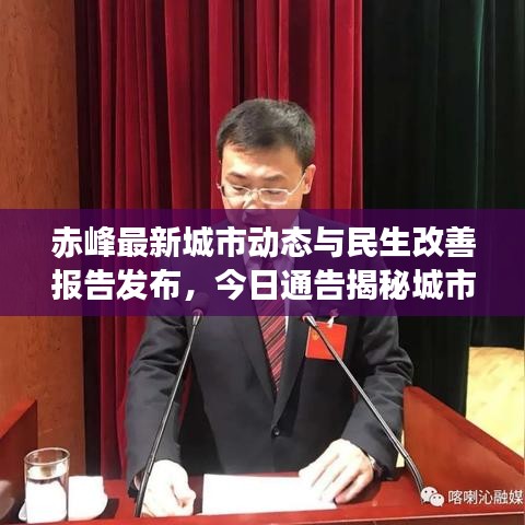候鳥南飛