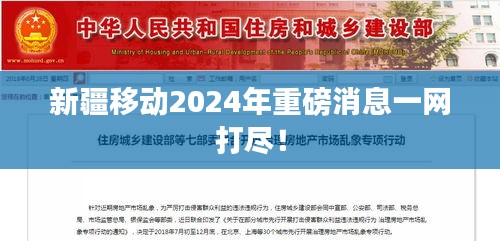 新疆移動2024年重磅消息一網(wǎng)打盡！