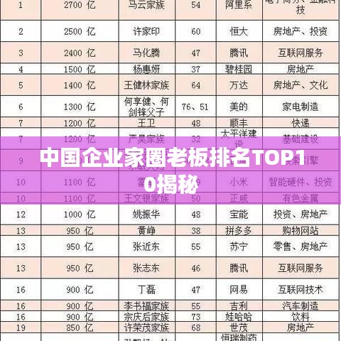 中國企業(yè)家圈老板排名TOP10揭秘