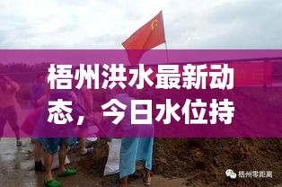 梧州洪水最新動態(tài)，今日水位持續(xù)上漲