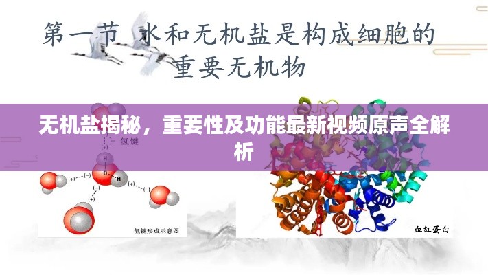 刬舊謀新