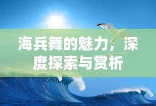 海兵舞的魅力，深度探索與賞析