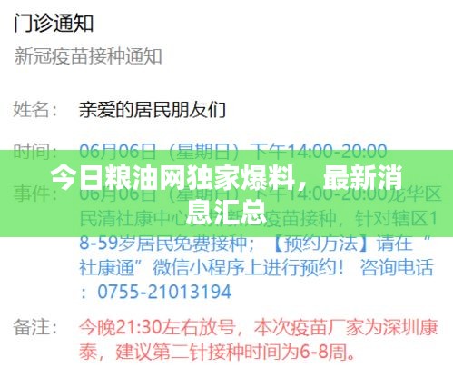 盡心盡力
