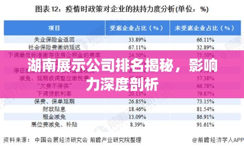 湖南展示公司排名揭秘，影響力深度剖析