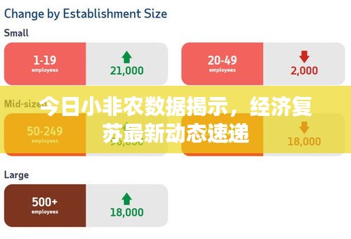 今日小非農(nóng)數(shù)據(jù)揭示，經(jīng)濟(jì)復(fù)蘇最新動態(tài)速遞