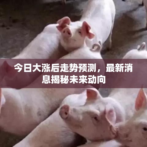 百年不遇