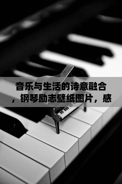 音樂與生活的詩意融合，鋼琴勵志壁紙圖片，感受美好瞬間