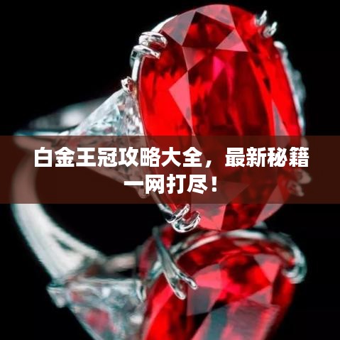 白金王冠攻略大全，最新秘籍一網(wǎng)打盡！