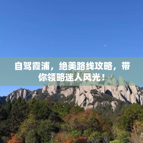 朝乾夕惕