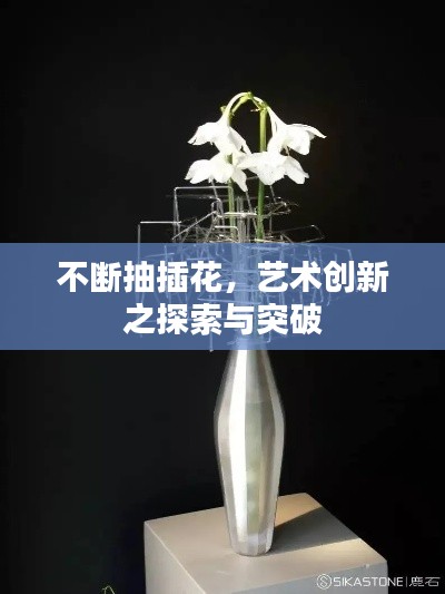不斷抽插花，藝術(shù)創(chuàng)新之探索與突破