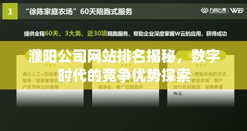 濮陽公司網(wǎng)站排名揭秘，數(shù)字時(shí)代的競(jìng)爭優(yōu)勢(shì)探索