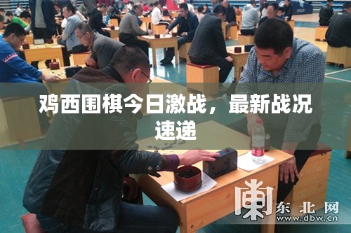 雞西圍棋今日激戰(zhàn)，最新戰(zhàn)況速遞