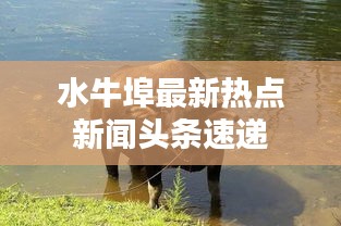 設(shè)身處地