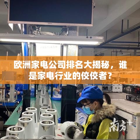 歐洲家電公司排名大揭秘，誰是家電行業(yè)的佼佼者？