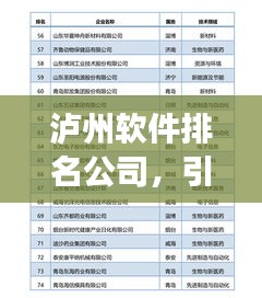 瀘州軟件排名公司，引領(lǐng)行業(yè)發(fā)展的技術(shù)力量標(biāo)桿