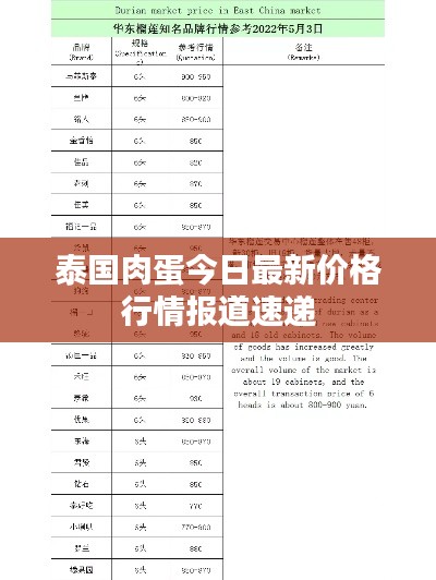 泰國肉蛋今日最新價(jià)格行情報(bào)道速遞