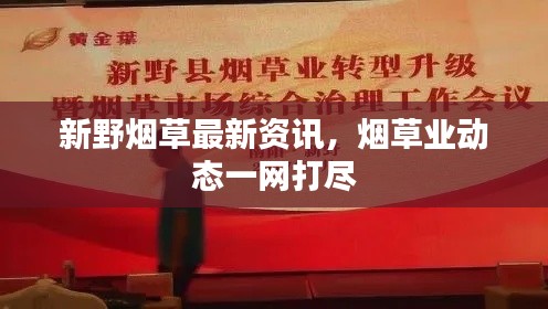 第12頁