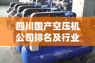 四川國產(chǎn)空壓機(jī)公司排名及行業(yè)影響力揭秘，誰領(lǐng)風(fēng)騷？