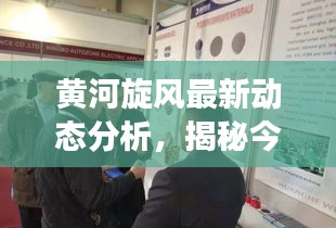 黃河旋風(fēng)最新動(dòng)態(tài)分析，揭秘今日市場走勢