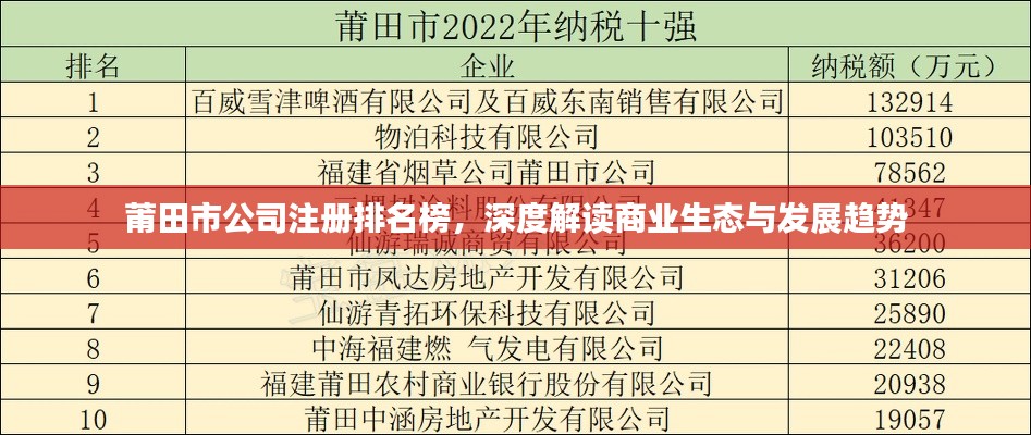 莆田市公司注冊排名榜，深度解讀商業(yè)生態(tài)與發(fā)展趨勢