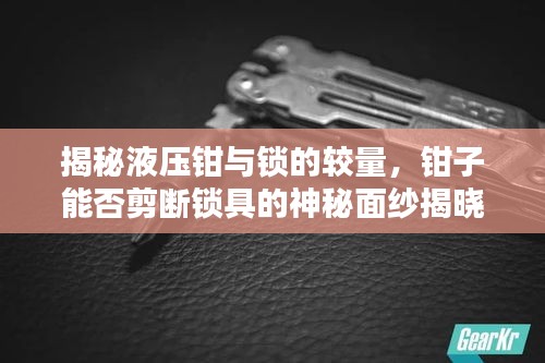 揭秘液壓鉗與鎖的較量，鉗子能否剪斷鎖具的神秘面紗揭曉！