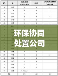 環(huán)保協(xié)同處置公司排名揭秘，行業(yè)深度分析與前景展望