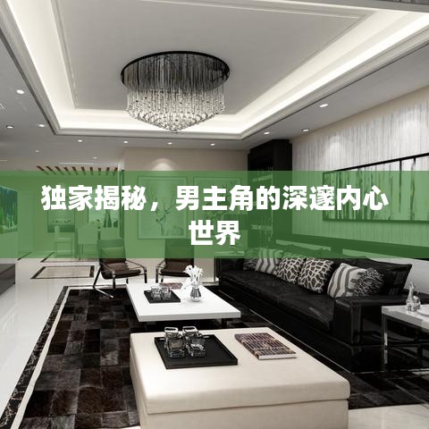 獨家揭秘，男主角的深邃內(nèi)心世界